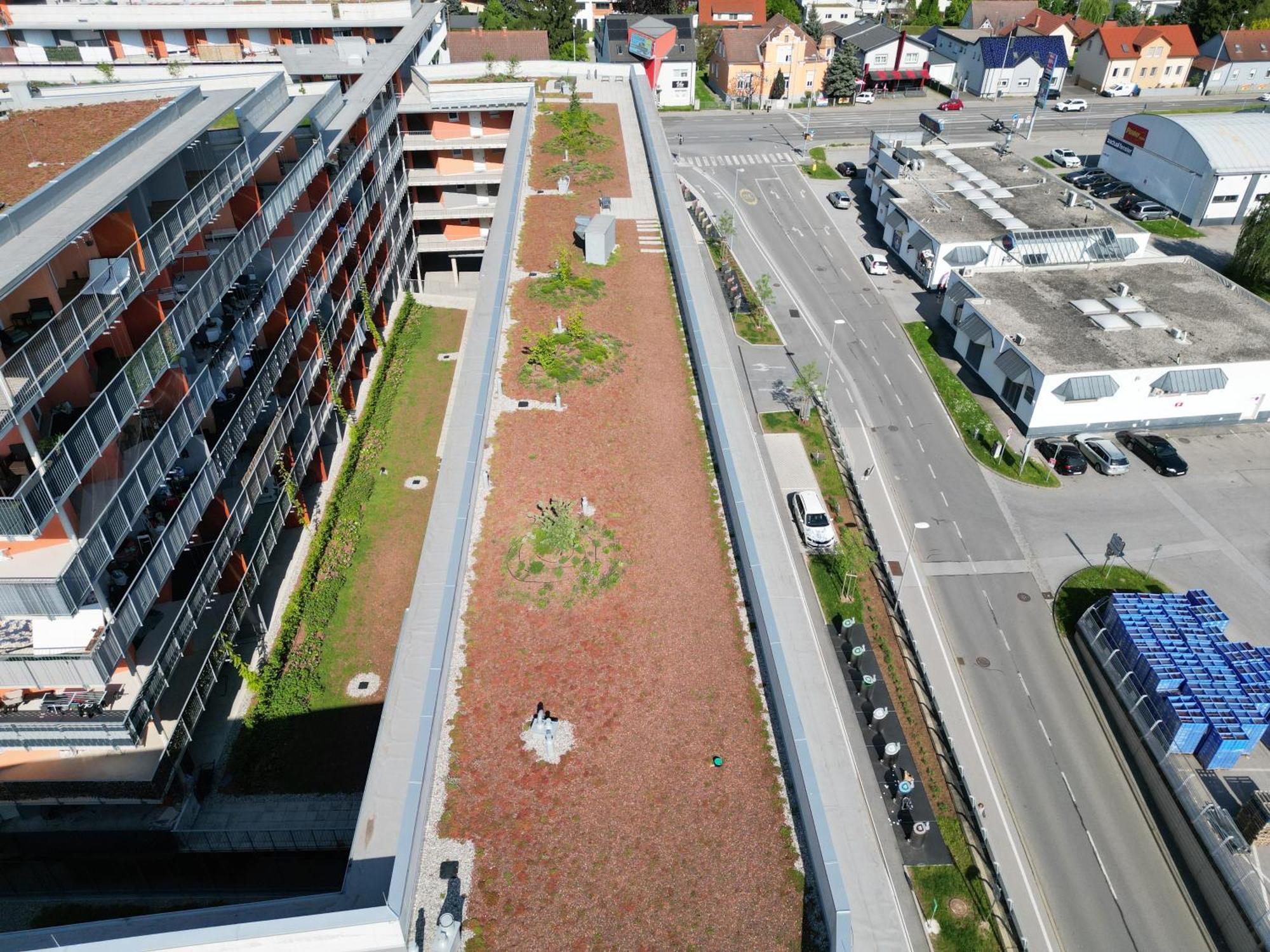 100 Qm Penthouse, Self-Check-In, 2 Parkplaetze Daire Graz Dış mekan fotoğraf